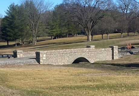 bridge-image